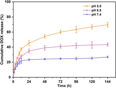 pH-sensitive supramolecular self-assembled peptide hydrogel for the treatment of esophageal cancer